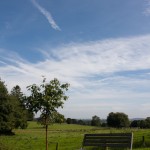 20080914-_MG_9450